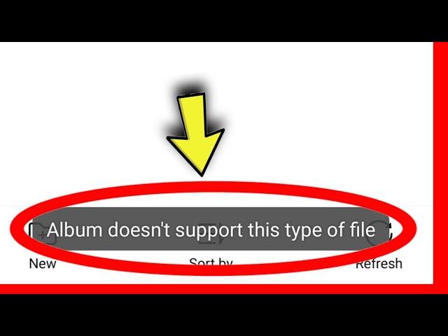 Album Doesn't Support This Type Of File in Gallery Android Mobile