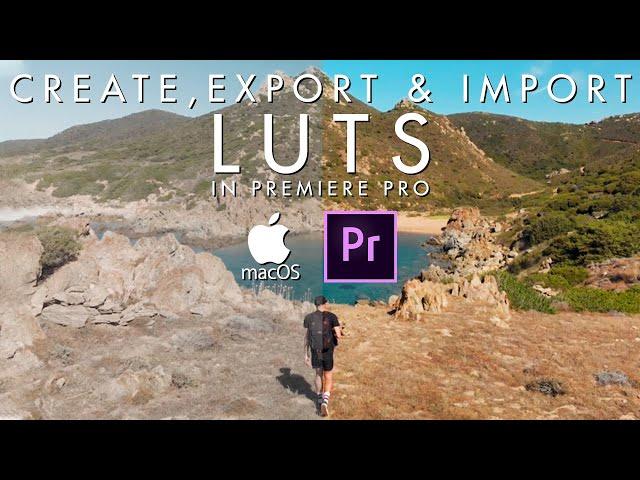 Create, Export and Import LUTs for Premiere Mac OS Tutorial