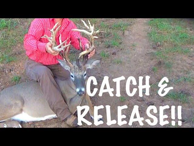 CATCH & RELEASE MONSTER WHITETAIL BUCKS at Hollis Farms