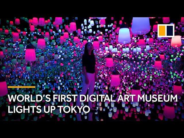 World’s first digital art museum lights up Tokyo, Japan