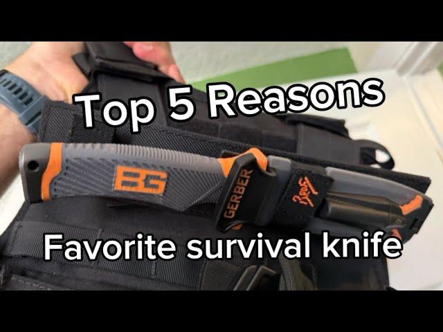  Best Designed Survival Knife, Wilderness Bushcraft Gerber Full Tang Serrated Blade Bear Grylls