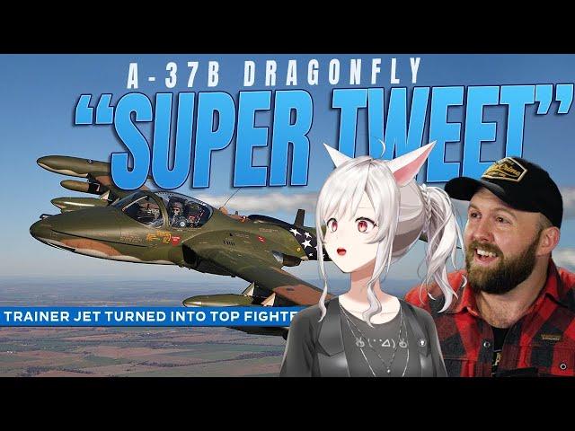 The Greatest Attack Jet You Never Heard Of || The Fat Electrician react