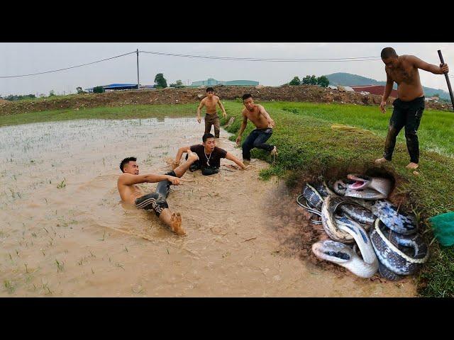 6 Brave Hunters Confront The Nest Of 100 Ferocious Giant Dragon Snakes | Snake King TN