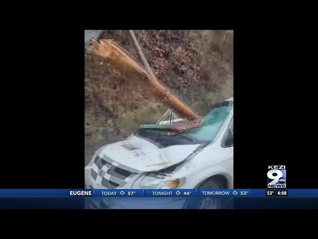 Vida resident recovering after his car was struck by falling tree