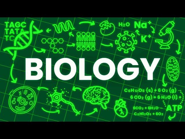 BIOLOGY explained in 17 Minutes