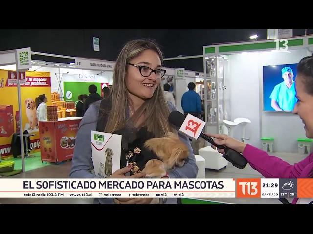 El sofisticado mercado de las mascotas en Chile