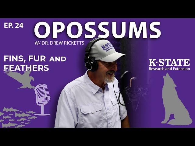 Sunflowers and Opossums | Fins, Fur, and Feathers Episode 24