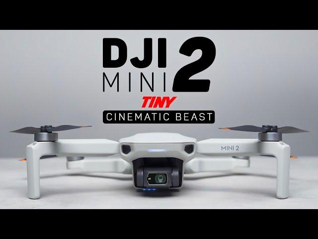 Can the DJI Mini 2 Shoot Cinematic Footage?