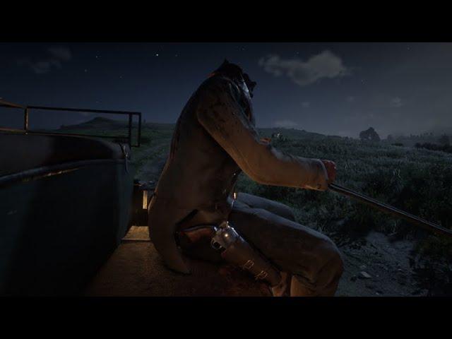 Weirdness in Red Dead Redemption II / Red Dead Online - A montage of oddness!