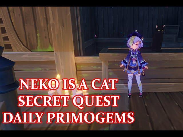 Neko is A Cat Secret Quest Earn Primogems daily Genshin Impact