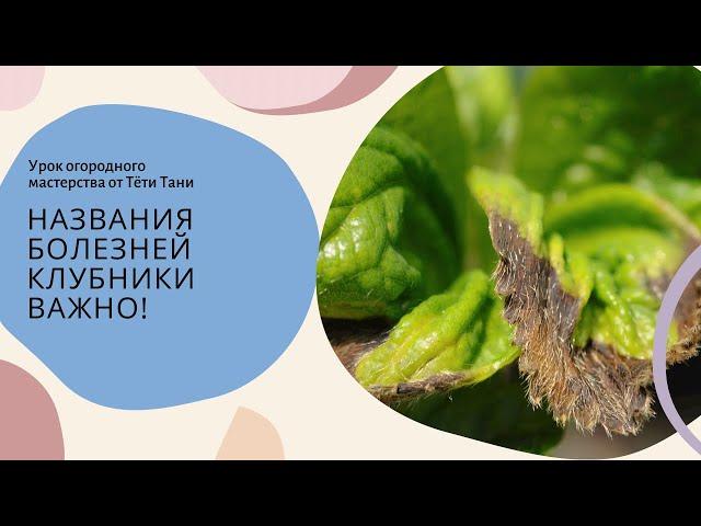 828. Названия болезней клубники...