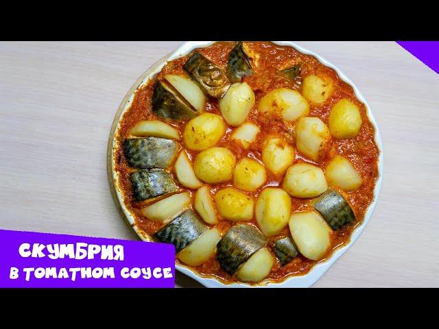 Скумбрия в томатном соусе с картошкой | Вкусное и простое блюдо на ужин