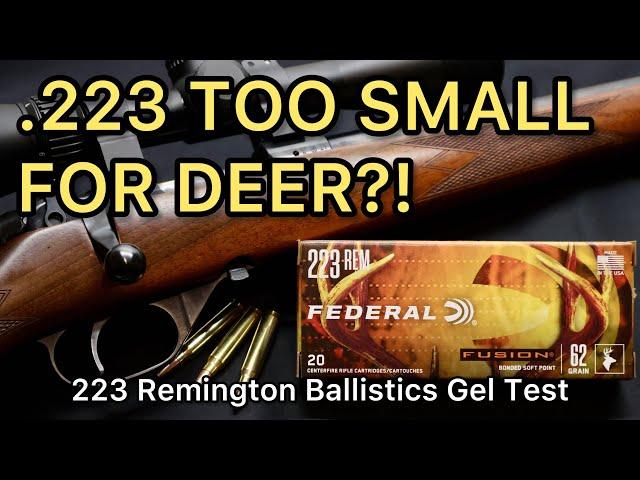 WEAKEST .223 FOR DEER!! 223 Remington Federal Fusion 62gr Ammo Test