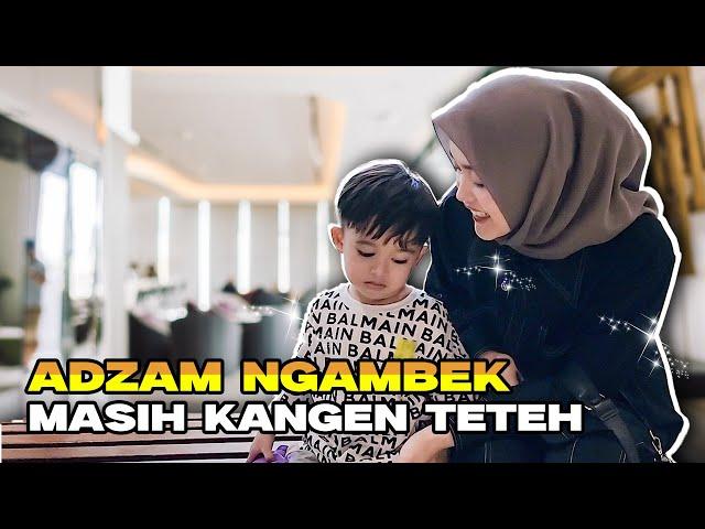 ADZAM NGAMBEK GAK MAU PULANG MASIH MAU MAIN SAMA TETEH...!!!