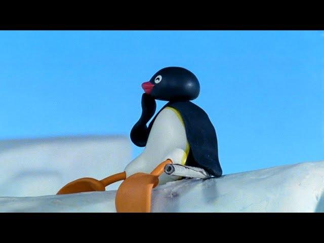 Pingu English New Episodes #6