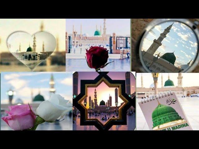 Roza e Rasool ️ #beautifull dp ماشاءاللہ Heart tuching 