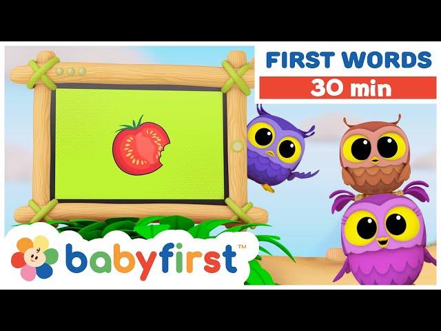 Hoot, Scoot & What | Learn vocabulary for Kids | Learn animals & words for toddlers | BabyFirst TV