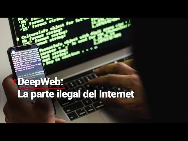 CIBERDELINCUENCIA | DeepWeb: el lado oscuro de internet; ¿qué delitos se cometen en la web?