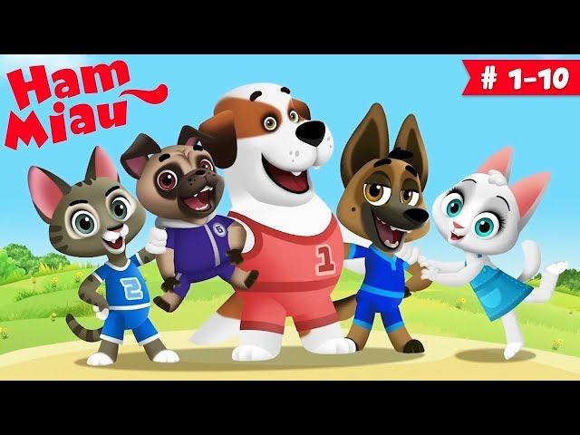 Ham Miau  ep. 1-10  Desene animate pentru copii -  HeyKids