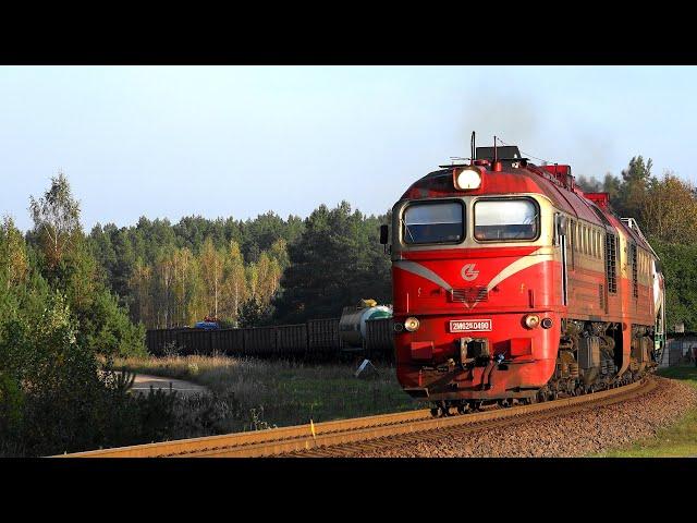 2М62К-0490 с грузовым поездом / 2M62K-0490 with mixed freight train