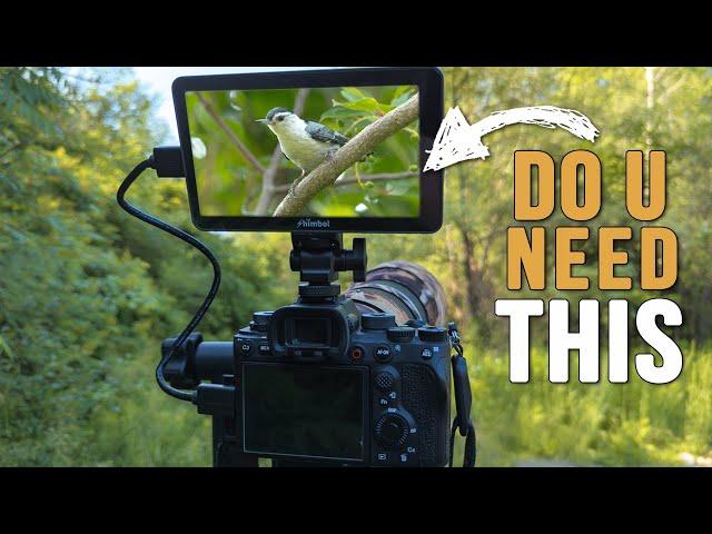 Why I Started Using an EXTERNAL Monitor for My Bird Photography | Shimbol Memory I