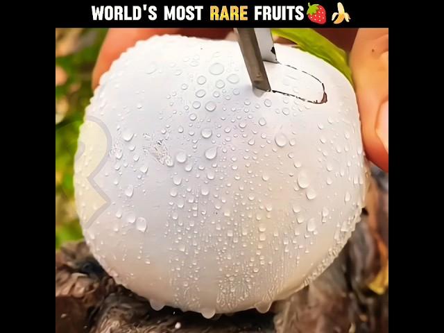 World's Most RARE Fruits { Part 2 }