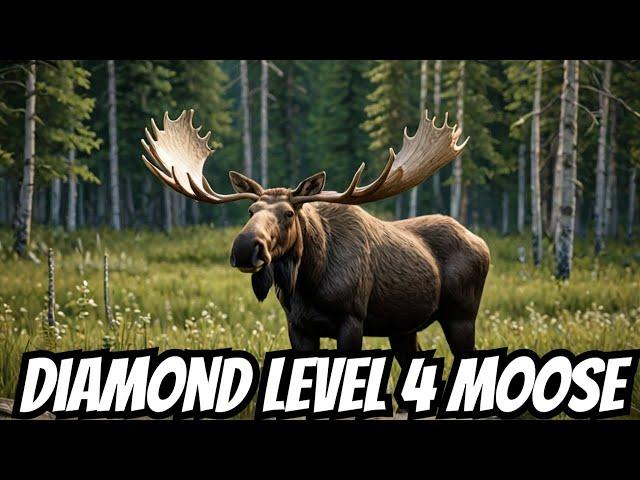 Huge Diamond Level 4 Moose On A Yukon Valley Hunt | TheHunter Call Of The Wild