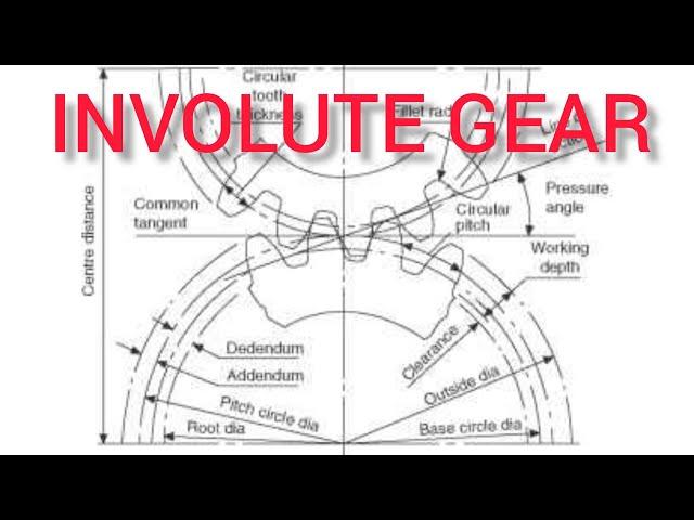 How to Draw a 24 teeth Involute Gear~Engineering Drawing 2