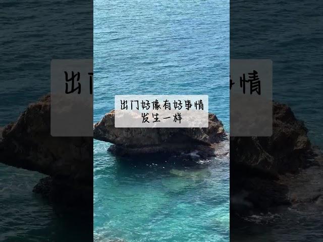 语录扎心 #语录 #语录分享 #语录控