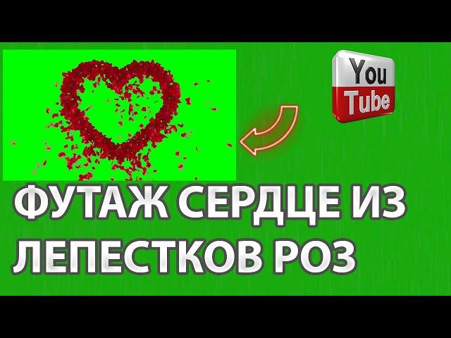 14 Февраля 8 Марта Футаж Сердце из лепестков розы хромакей День Святого Валентина