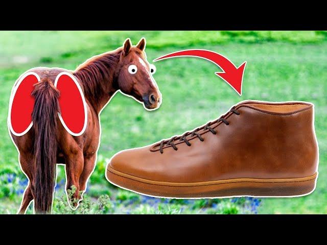 ($910) Why horse butt cheek sneakers cost $$$