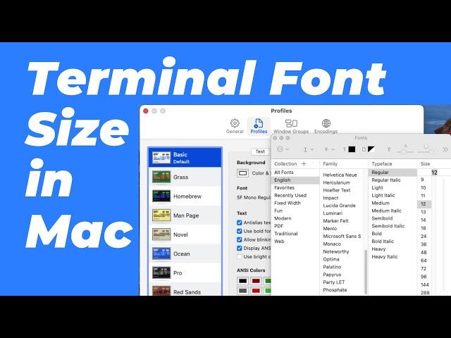 How to Change Terminal Font Size in Mac | increase Text Size in Terminal