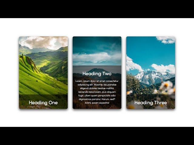 responsive Css card hover effect 2022 || CodingWithFahim