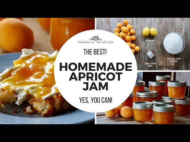 STELLAR APRICOT JAM recipe!