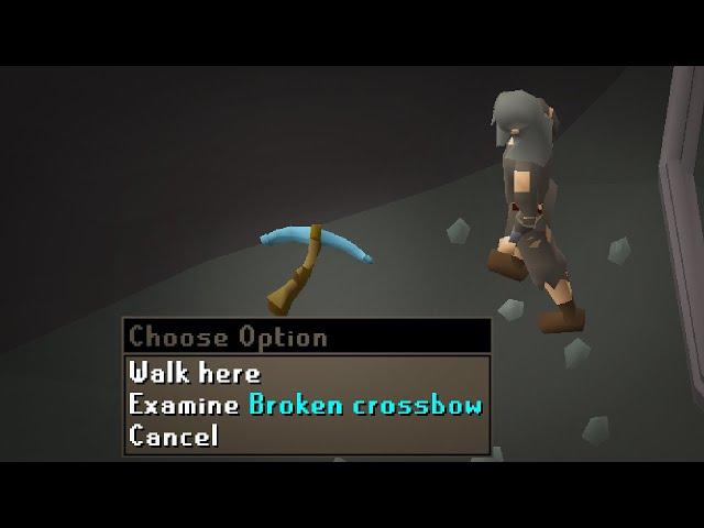 I am now immortalized in Runescape