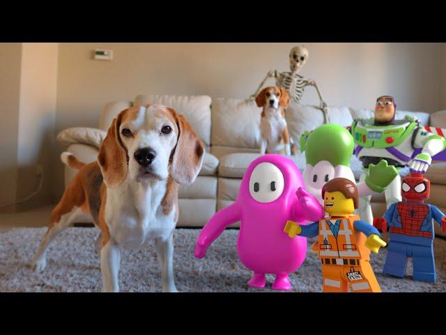 Funny Dogs vs Real Life Animations