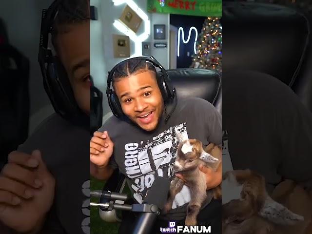 Fanum Freestyles With A Goat