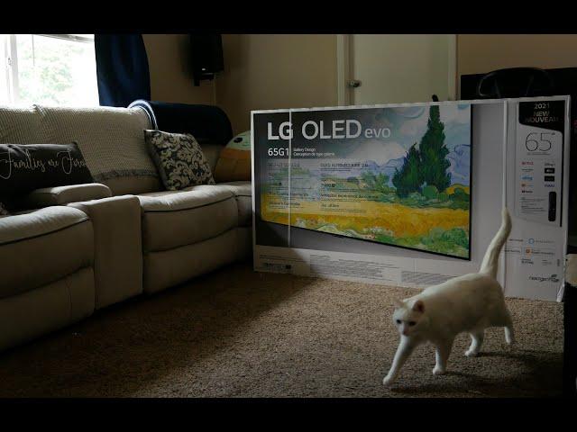 LG G1 Evo OLED Initial Setup, And Big LG Announcement