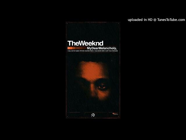 (FREE) The Weeknd My Dear Melancholy Type Beat 2024 "You Were Never There"