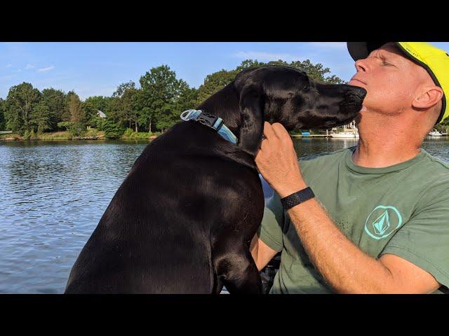 Mobjack Bay, Virginia || Sailing with Labmaraner Dogs || Bird Dogging from the Dinghy!