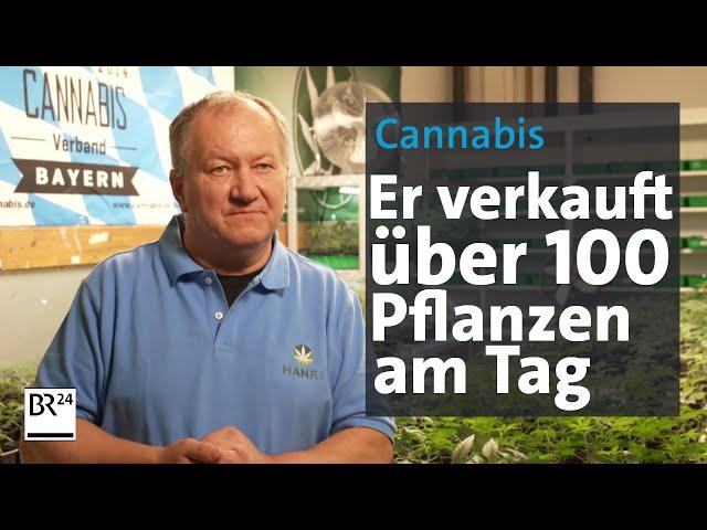 Cannabis-Legalisierung: Der erste Monat | Abendschau | BR24