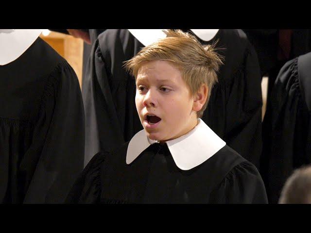 Maria durch ein Dornwald ging - Adventskyrie | Windsbacher Knabenchor