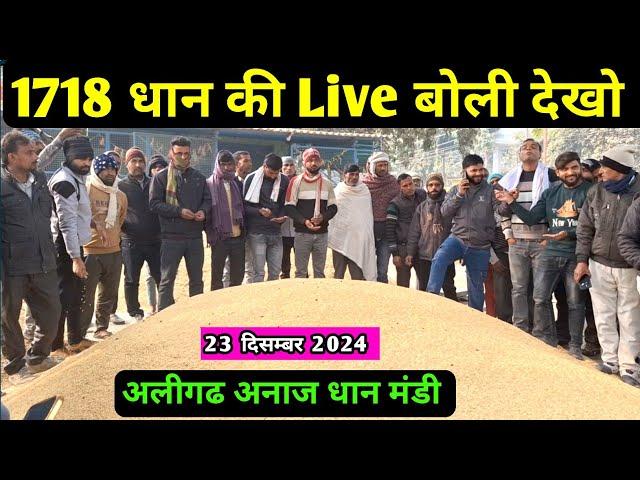 1718 धान की Live बोली " अलीगढ धान मंडी भाव  aaj ka dhan ka bhav / 1718 dhan ka bhav / dhan rate