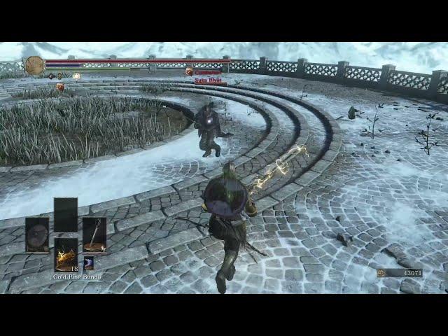 Most subtle Dark Souls 3 cheater