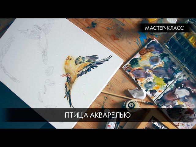 Мастер класс: птица акварелью