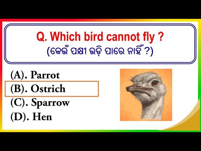 General knowledge in English | general knowledge answer key fireman 2023 | odisha fireman 2023 