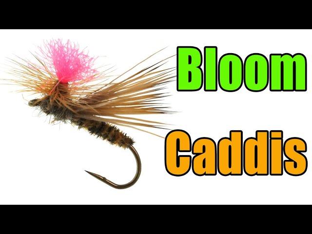 Bloom Caddis Fly Tying - Dave Bloom Fly Pattern