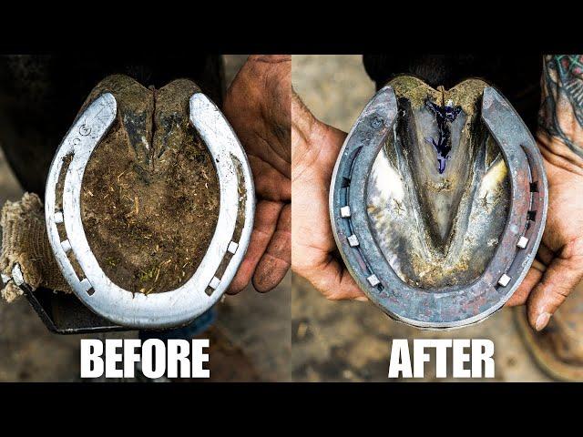 Satisfying Horse Hoof Restoration in 4K! | FARRIER ASMR