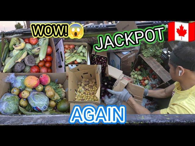 DUMPSTER DIVING CANADA#84//LOLO BIN NAGING VEGETARIAN MULI SA MGA PINOY #trending #viralvideo