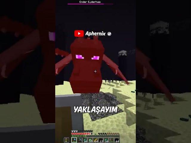 Minecraft'ta SPEEDRUN REKORUNU KIRDIM